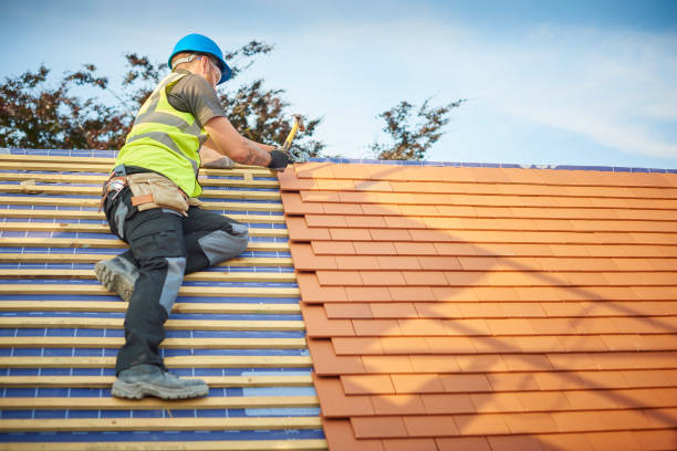 Best Chimney Flashing Repair  in Shadyside, OH